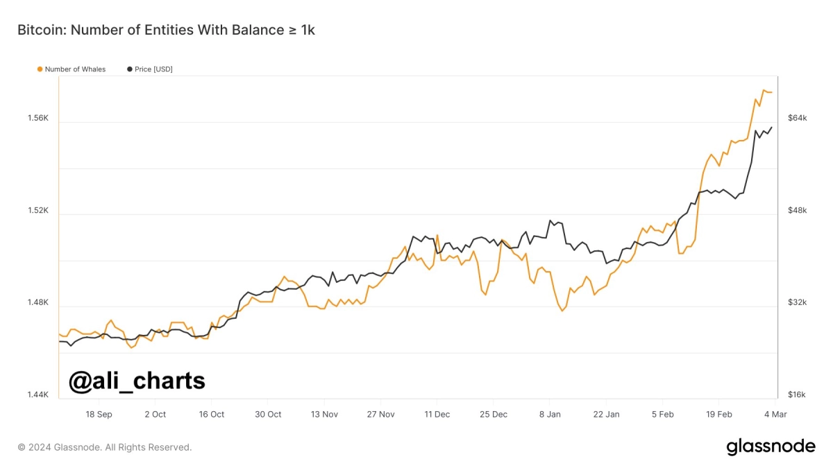 随着鲸鱼数量激增<a title='注册并实名送比特币' href='https://okk.meibanla.com/btc/ok.php' target='_blank' class='f_a'>比特币</a>飙升至67000美元以上