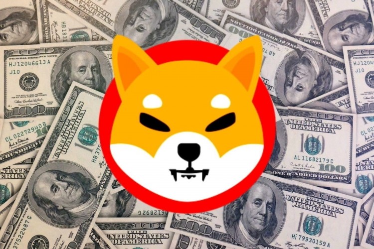 SHIBAINU投资价值1604万美元