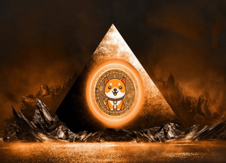 BabyDoge: The next Dogecoin future? What’s the price outlook for 2024?