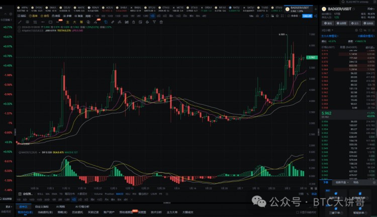 2024年真正的100倍币只有这6种
