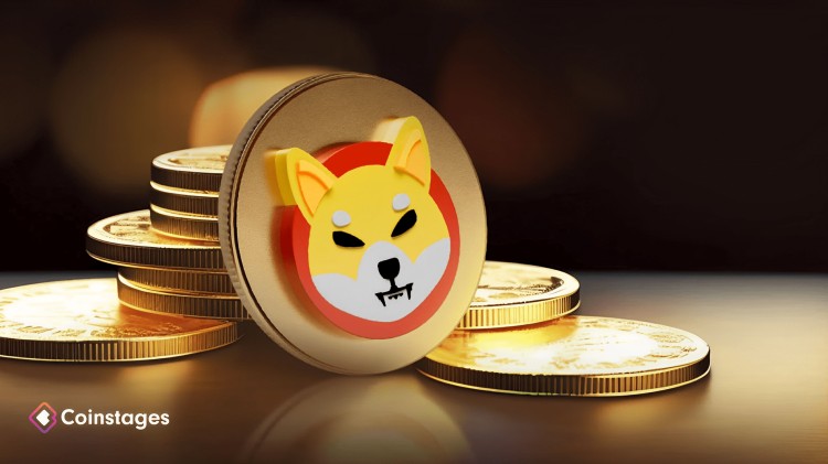 我们询问 ChatGPT Shiba Inu (SHIB) 是否会在 2024 年创下历史新高，它是这样说的