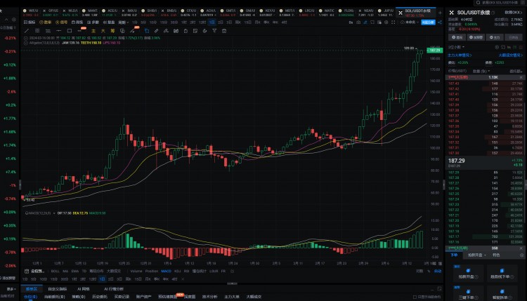 2024年真正的100倍币只有这6种