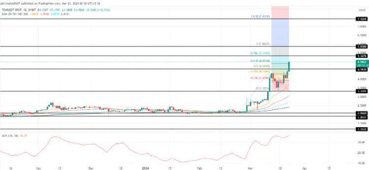 每周峰值50后TONCOIN价格接下来会怎样