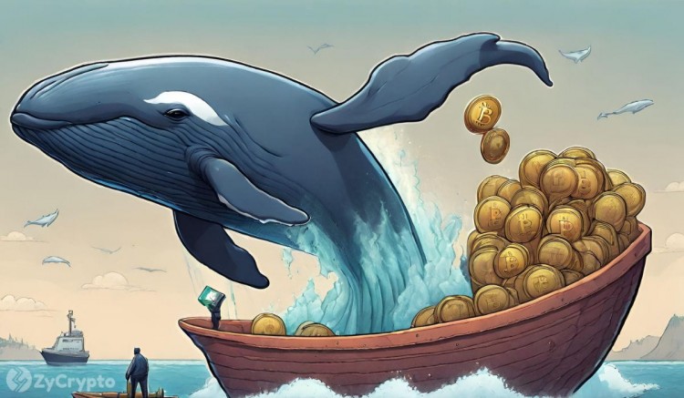 比特币鲸鱼从交易所转移创纪录的 23 亿美元，Coinbase 引领 BTC 流出