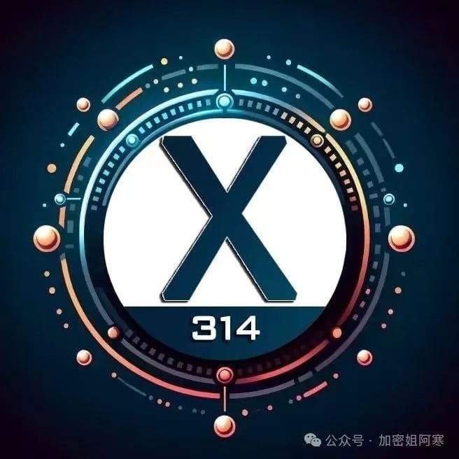 BSC链暴涨登场X314暴涨500倍市值仅1500万美元开始预计将突破2亿美元到底是下一个疯狂热点还是巨大泡沫