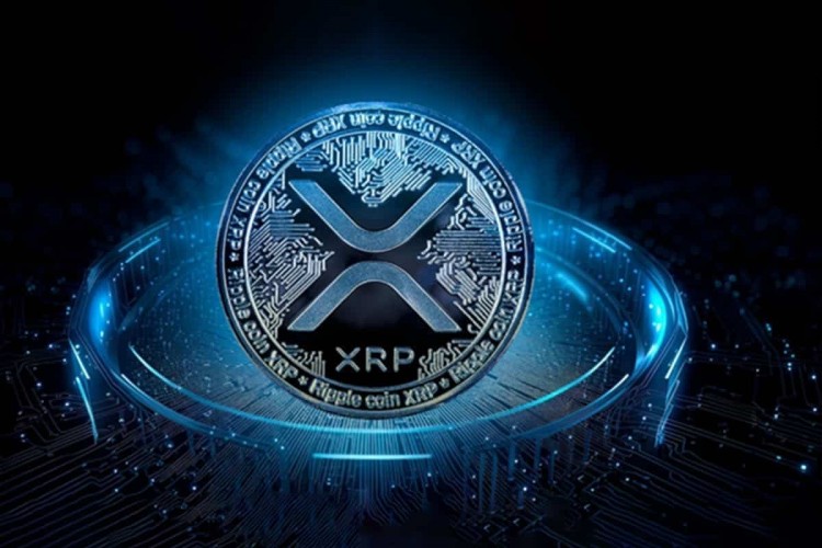 XRP肯定有过辉煌的日子自今年年初以来当其他加密货币都在享受牛市时XRP的价值实际上已经下