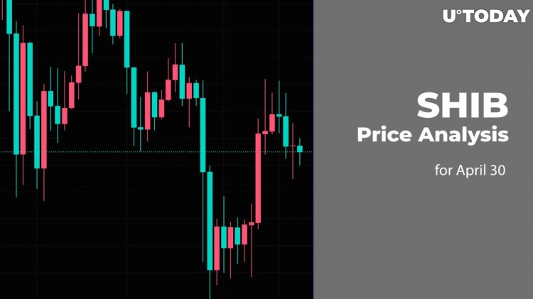 SHIB 4 月 30 日价格预测