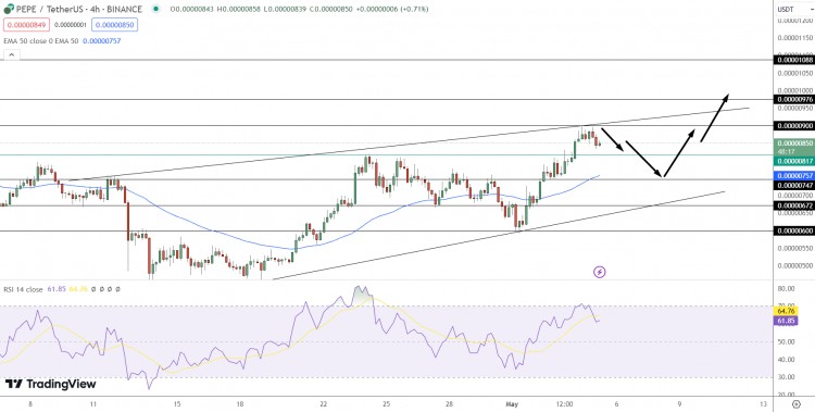 加密货币市值上涨10导致DOGECOINPEPE和DOGWIFHAT飙升