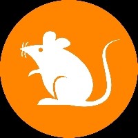 RATS：一種 Meme 代幣正在進入加密貨幣領域