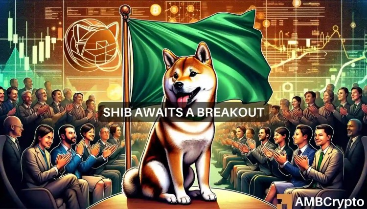 Shiba Inu 7天内上涨10%：SHIB会很快飙升至0.00003美元吗