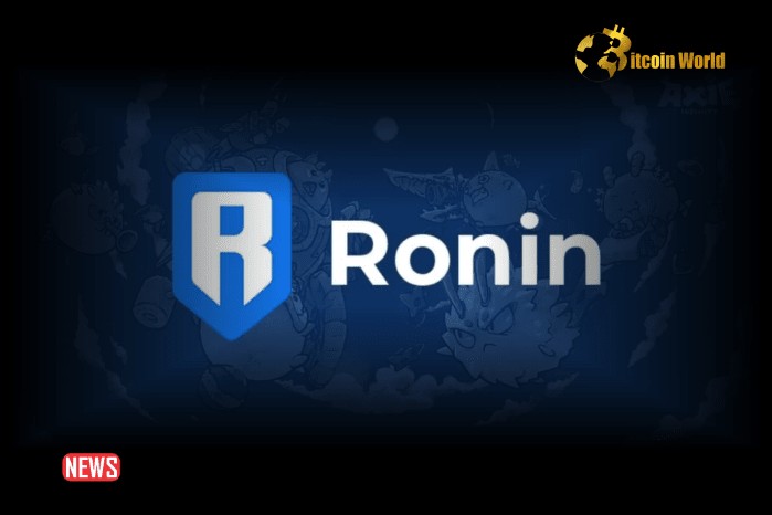 挪威政府称已追回大量 Ronin (RON)