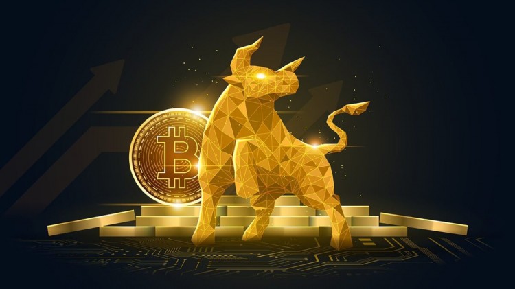 直播的采访中分享了他的看法