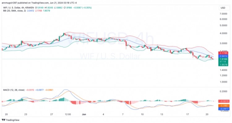 Dogwifhat 价格今天暴跌的 3 个原因