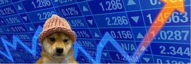 WIF Meme Coin：在加密货币中融入文化幽默**