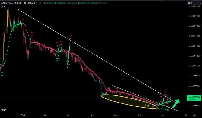 Cardano 有望在 2024 年获得关注