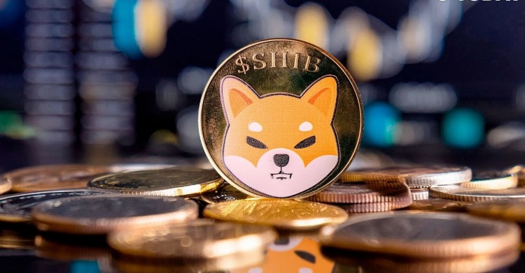 Shiba Inu 代币价格飙升至 0.000017 美元