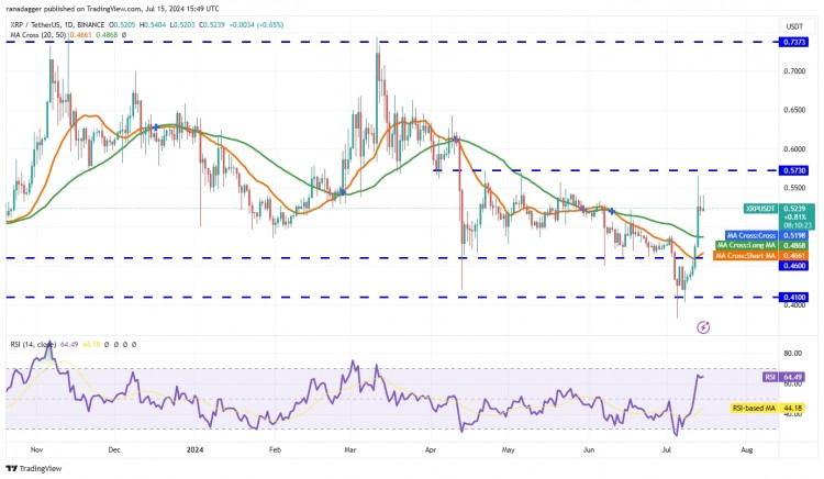 XRP技术分析