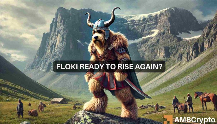 FLOKI 价格预测 – 可能上涨 25%，但前提是