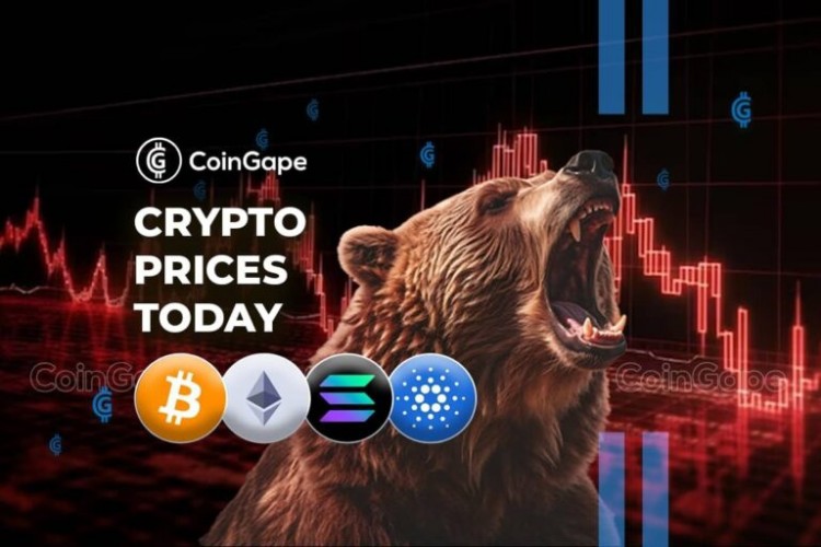 *2024 年 8 月 1 日加密貨幣價格更新