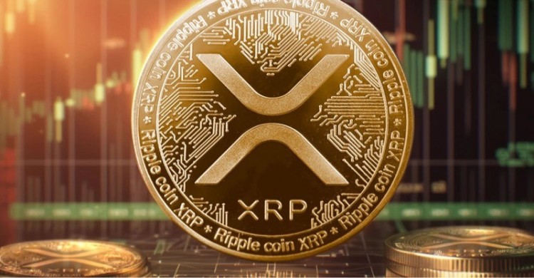 RP价格重挫